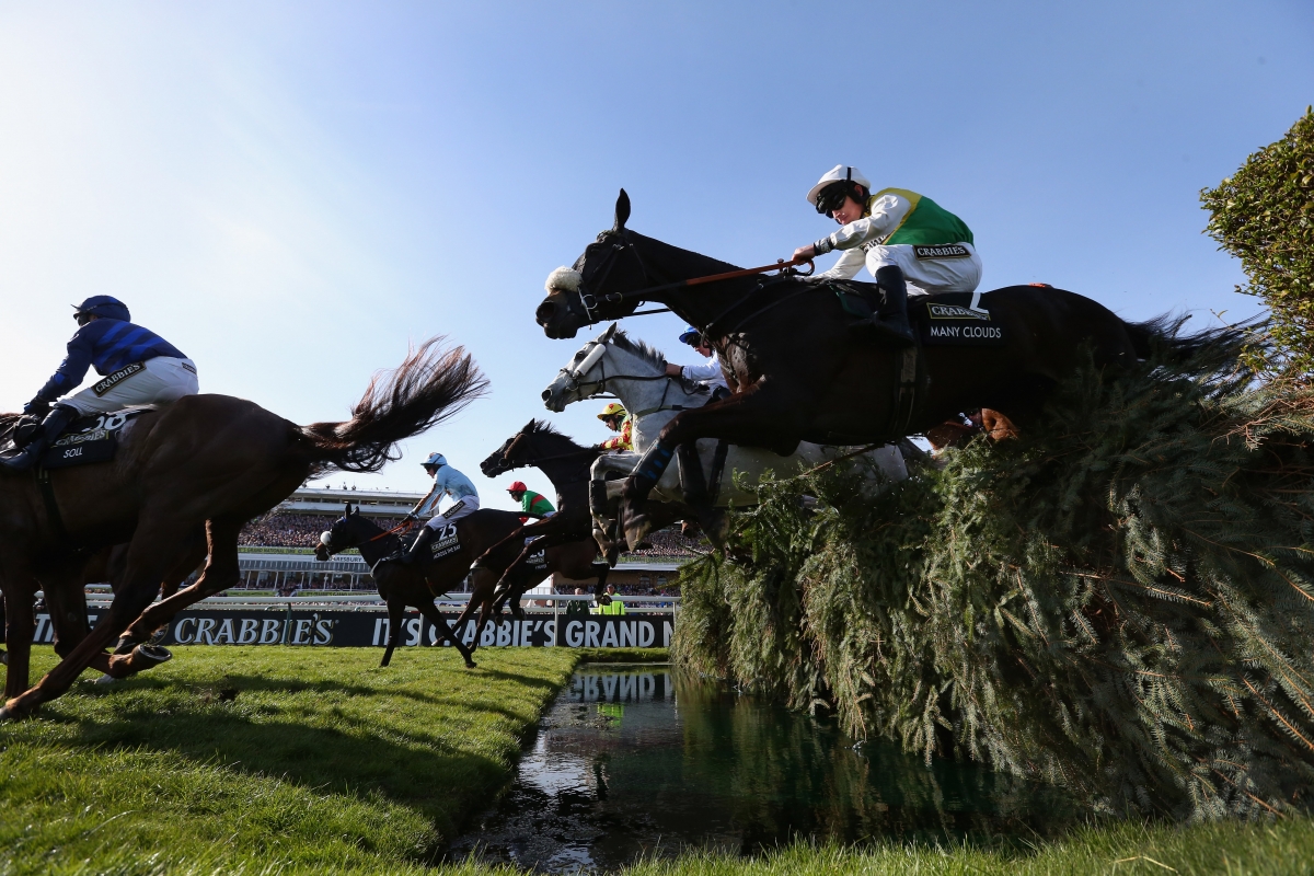 Grand National 2016: Schedule, full racecards, runners and betting odds