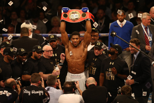 Anthony Joshua currently holds the IBF crown