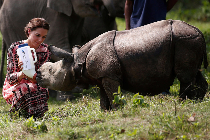 Royal tour India