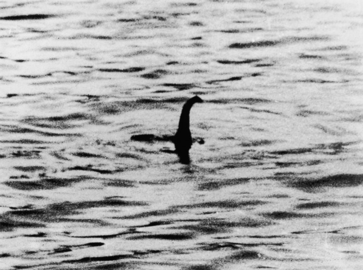 Loch Ness monster double discovered by robot submarine