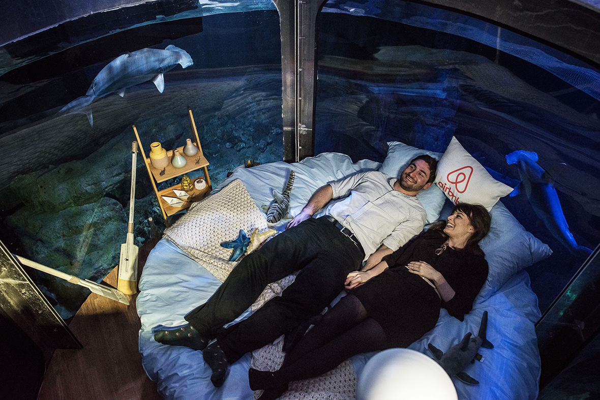 airbnb aquarium