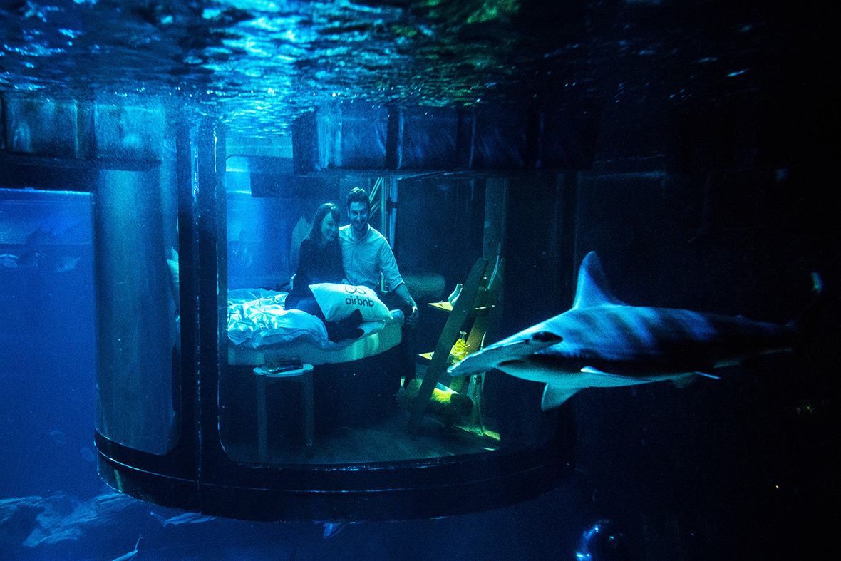 airbnb aquarium