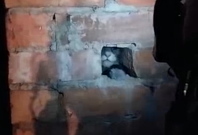 Cat stuck in chimney