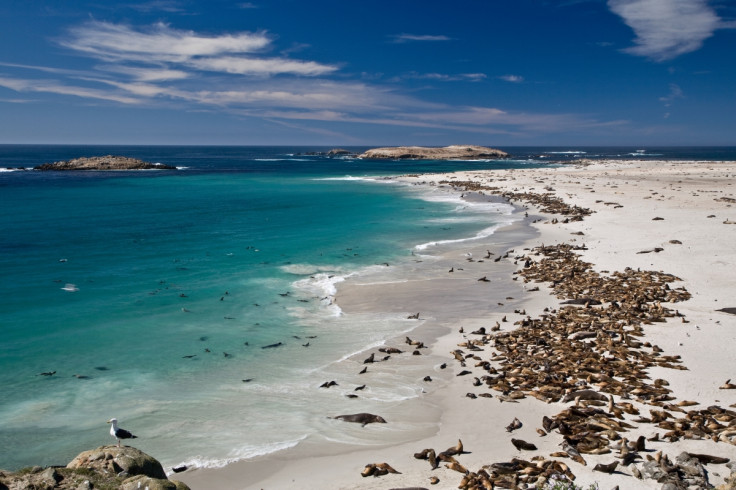 Channel Islands National Park