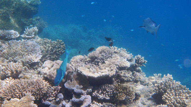 Great Barrier Reef