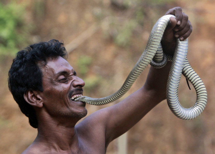 India snake charmers BBC Pop Up