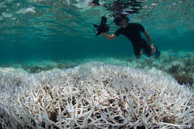 Great Barrier Reef