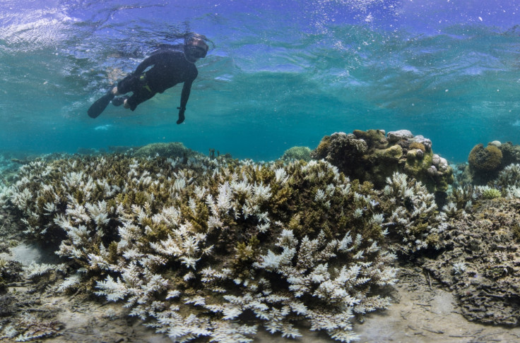 Great Barrier Reef