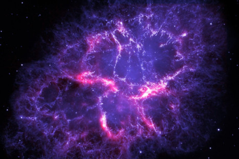 prince purple nebula