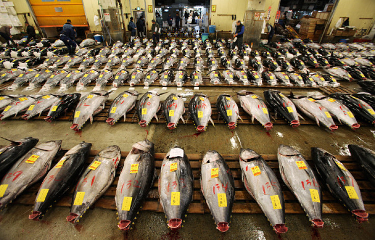 bluefin tuna auction