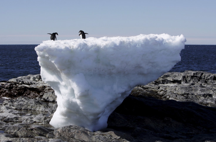 Penguins on a melting ice block