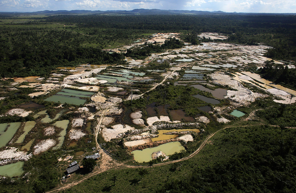 amazon illegal gold mining