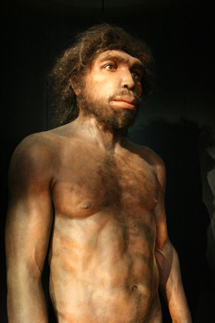 Homo rhodesiensis