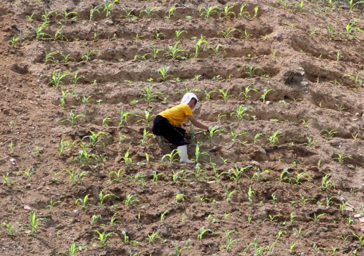 Sakchu County, North Korea