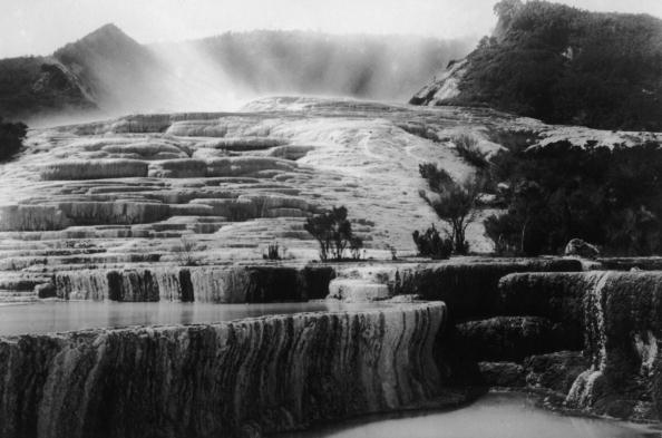 pink and white terraces