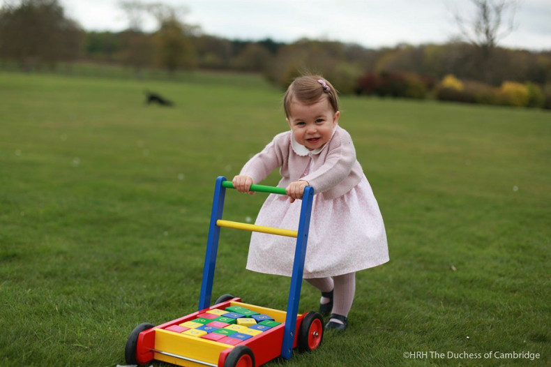 Princess Charlotte - Official Photographs Released Ahead Of First Birthday