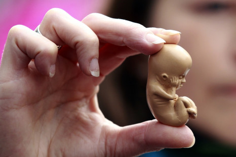 Woman holding embryo replica