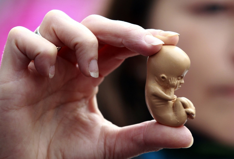 Woman holding embryo replica