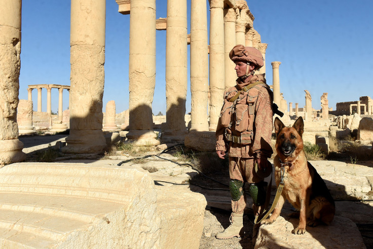 Russian soldiers, Palmyra