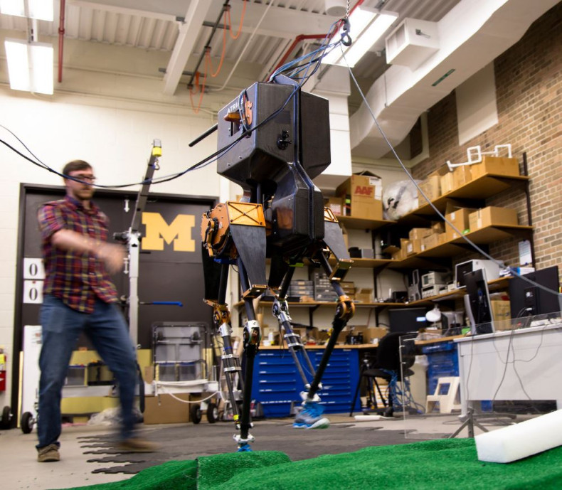 Marlo 3D bipedal robot