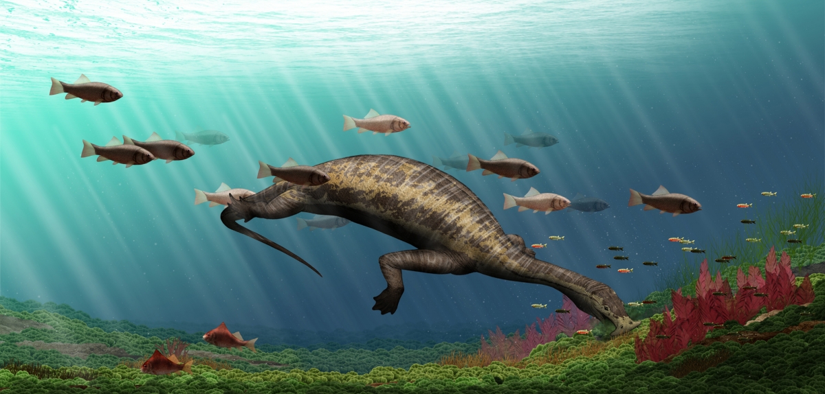 Atopodentatus unicus: Hammerhead sea monster was world's first ...