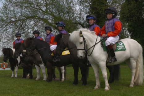 Shetland Pony race - without credit