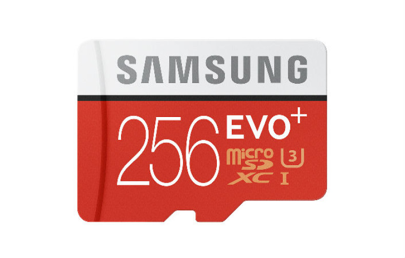 Samsung 256GB Evo Plsu microSD card