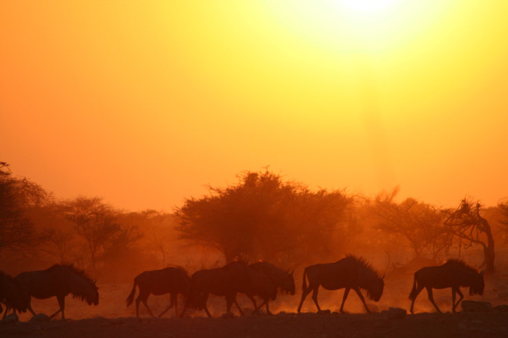 African heatwave