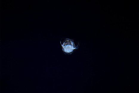 Chipped window on the ISS