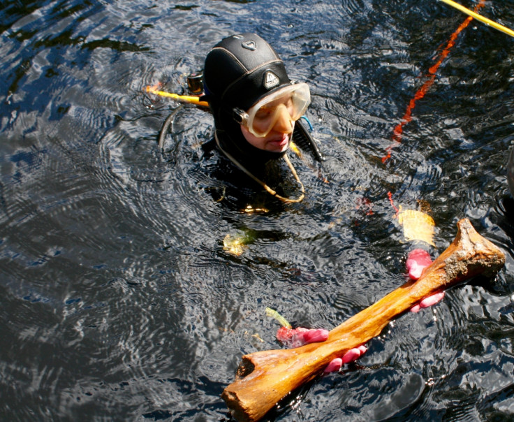 Divers at prehistoric site