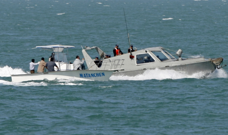 vaquita porpoise extinction