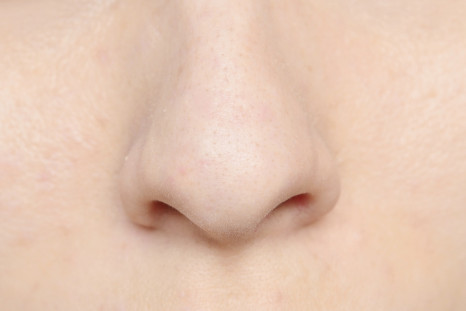 Nose shape in the genes