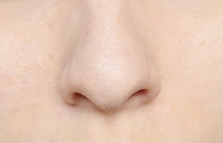 Nose shape in the genes