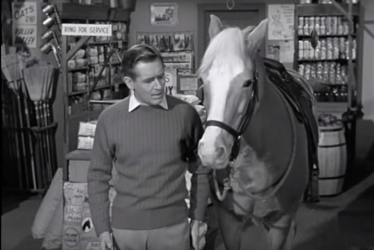 Alan Young and Mr Ed the horse