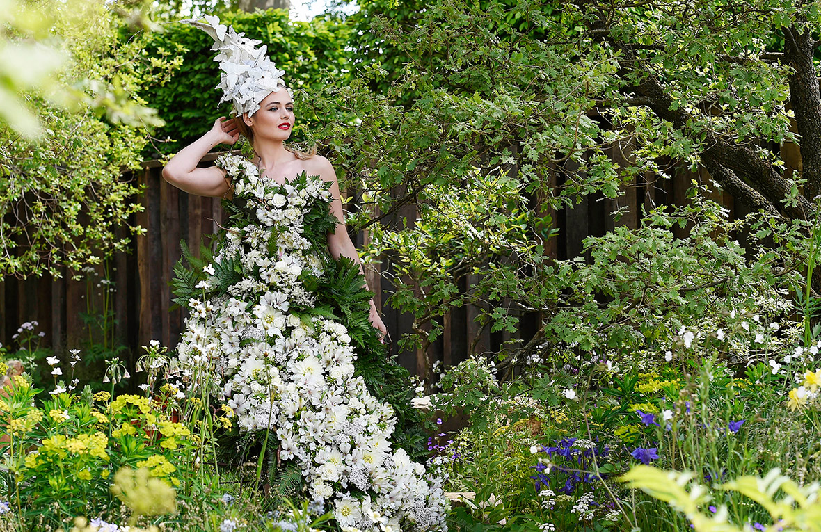 Chelsea Flower Show 2016: Everything you need to know