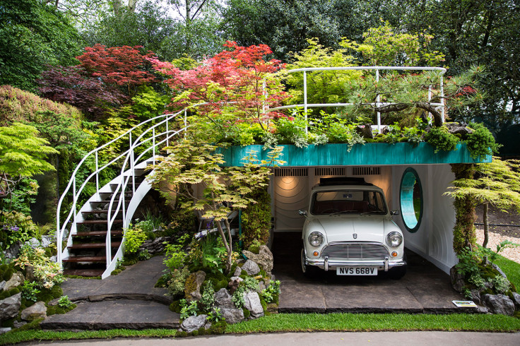 chelsea flower show 2016