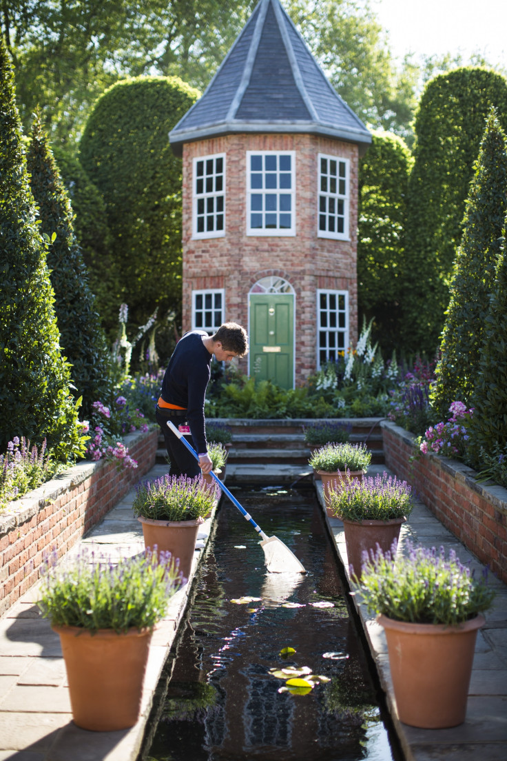 chelsea flower show