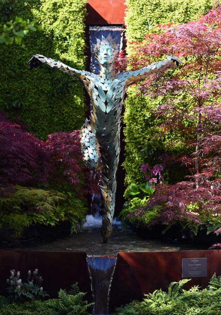 chelsea flower show