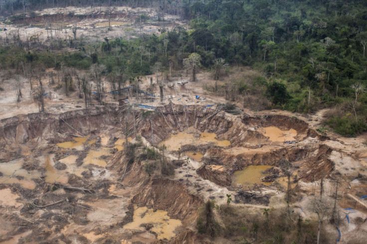 Madre de Dios, Peru