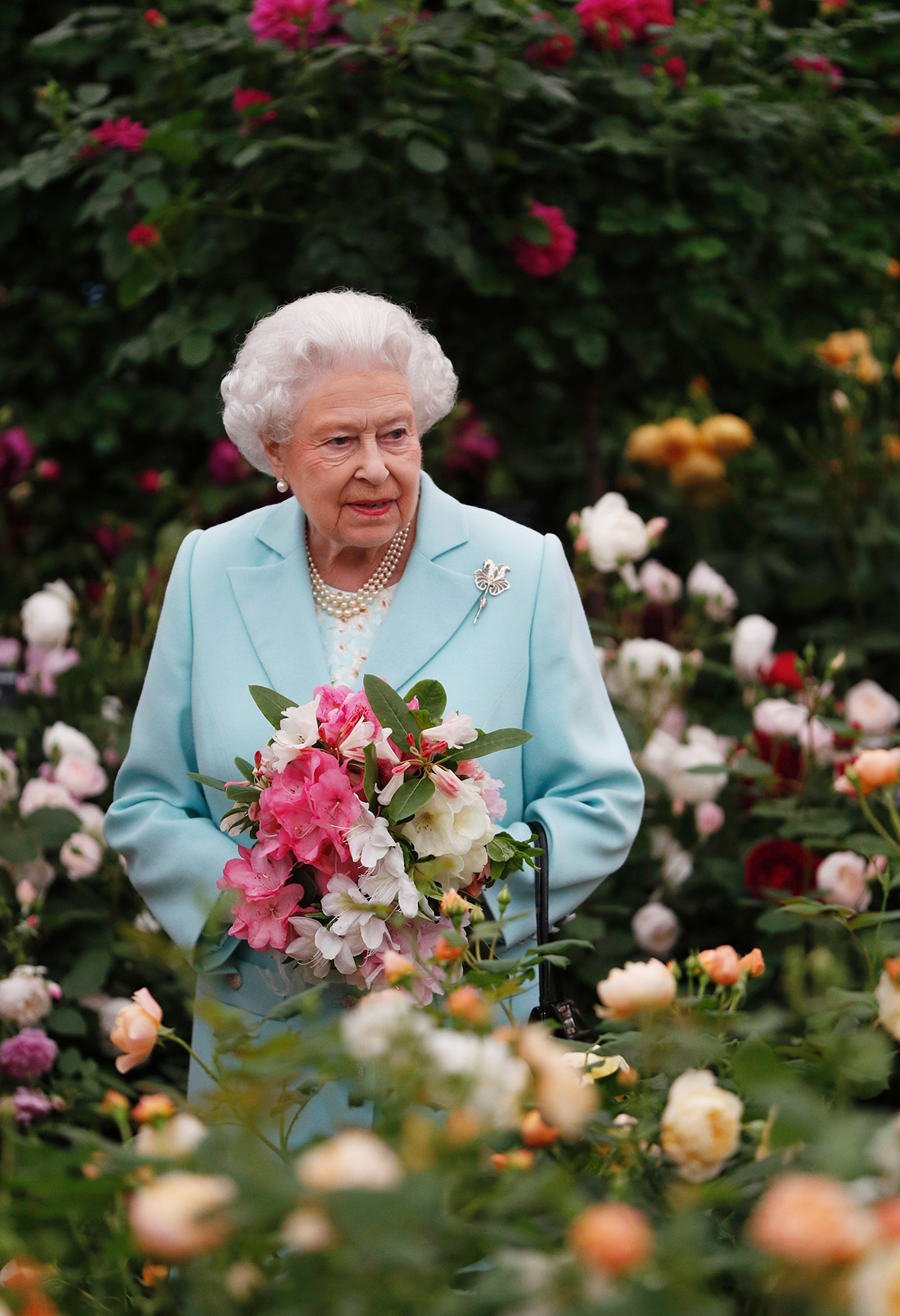 Chelsea Flower Show 2016 Photos of the Queen, Prince William and Kate