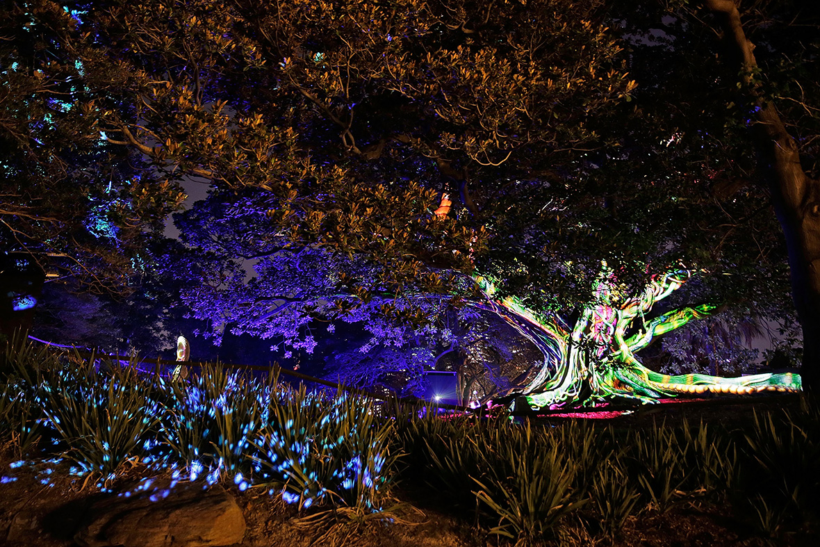 Vivid Sydney 