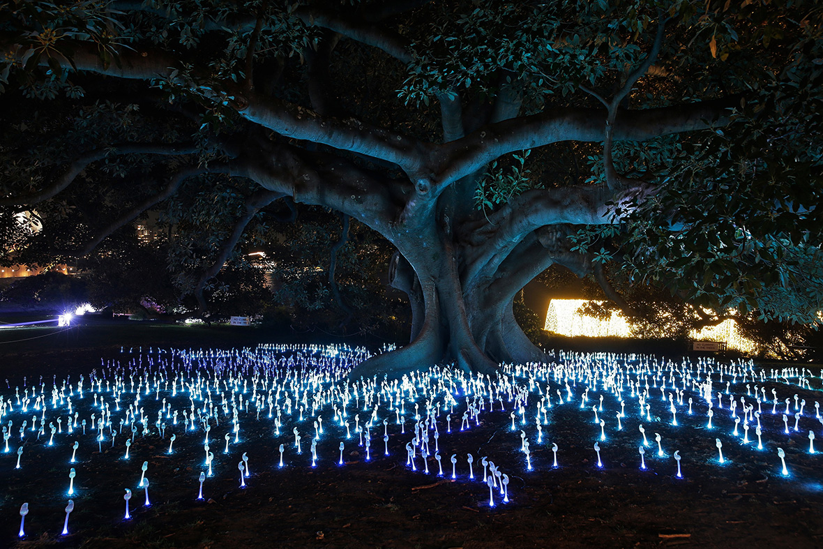 Vivid Sydney: Preview of world's largest psychedelic light show