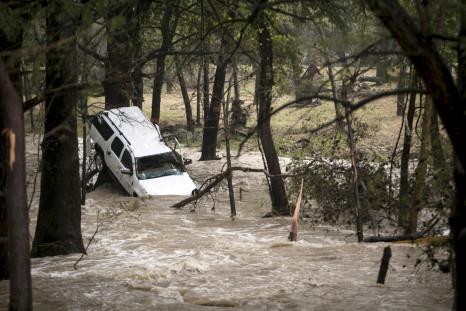 A car car is washed up against a tree in Cyprus Creek