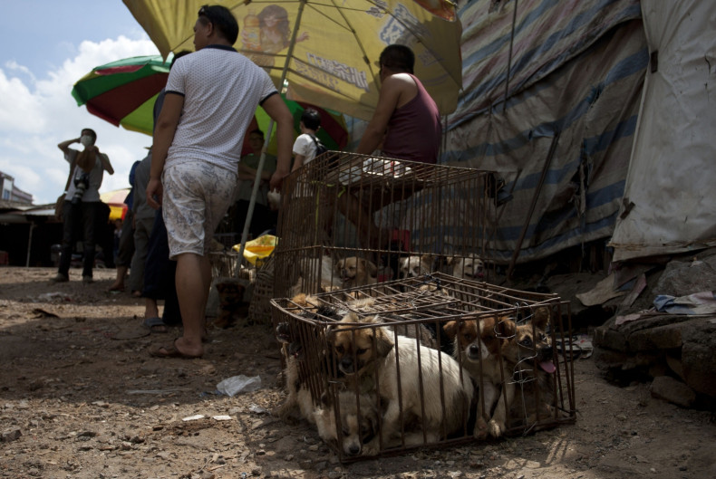 Yulin dog meat festivalSTR/AFP/Getty 