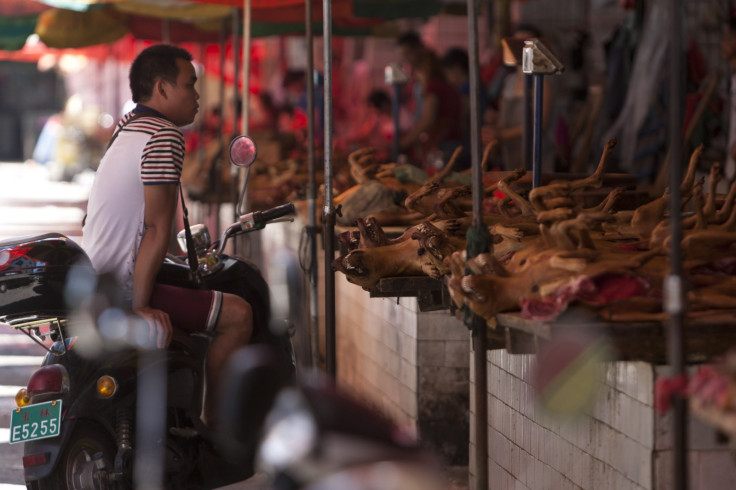 Yulin dog meat festival