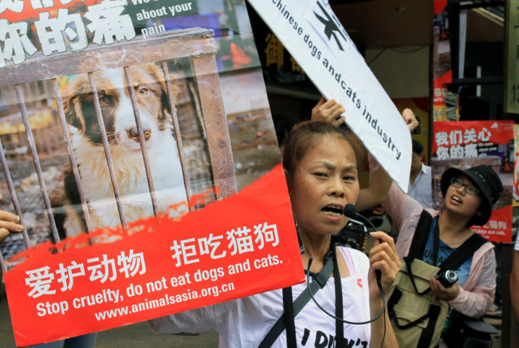 Yulin dog meat festival