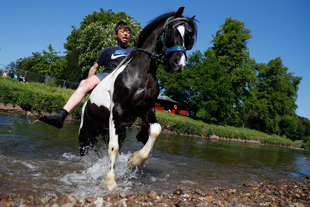 Appleby Horse Fair 2016: Travellers in Cumbria for world's biggest gypsy gathering