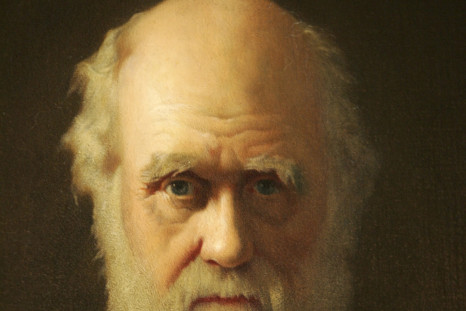 A portrait of Charles Darwin
