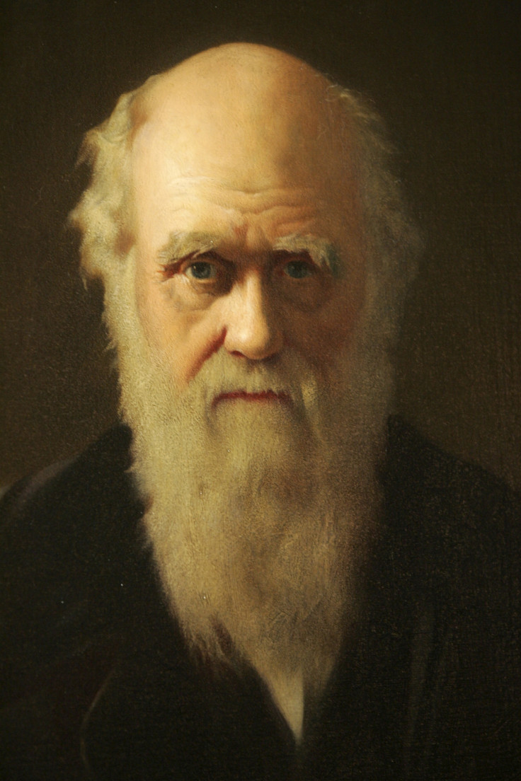 A portrait of Charles Darwin