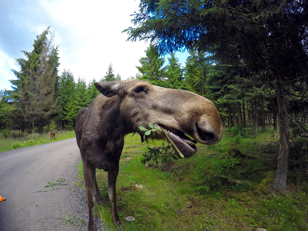 GoPro Photo of the Day